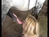 Blonde k9 Girl can&#039;t live without white horse